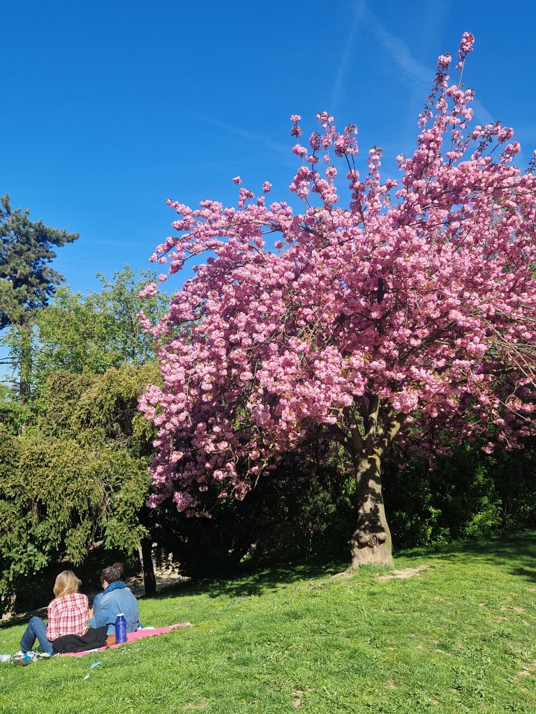 Où pique-niquer aux Buttes-Chaumont ? Les meilleures adresses à emporter dans le 19e arrondissement